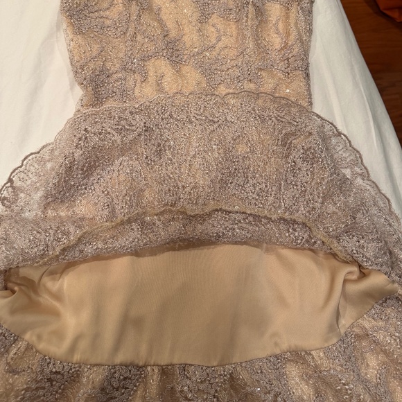 Exclusive Couture Mini Lace Silk Dress - Picture 7 of 8